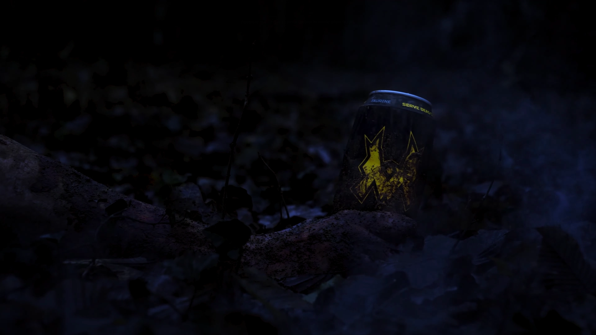 images modale gymbuzz